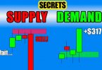 Master Supply and Demand Trading In-Depth Guide