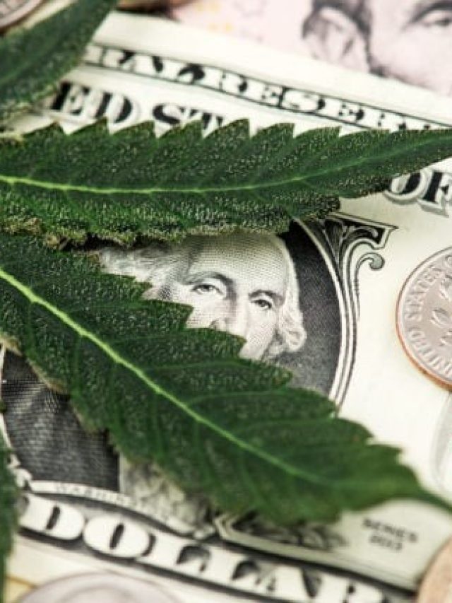 7 Cannabis Stocks to Buy Before They Burn Higher